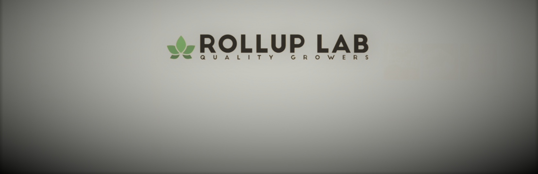 Rollup Lab